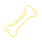 Baia-vet-veterinarios-serviços-Ortopedia