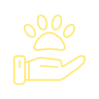 Baia-vet-veterinarios-serviços-acupuntura