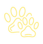 Baia-vet-veterinarios-serviços-dermatologia