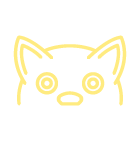 Baia-vet-veterinarios-serviços-oftalmologia