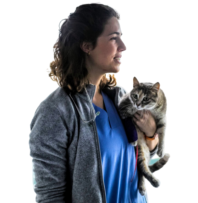 baia-vet-serviços-veterinarios